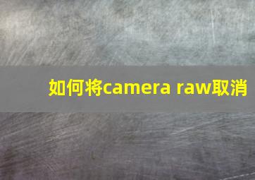 如何将camera raw取消